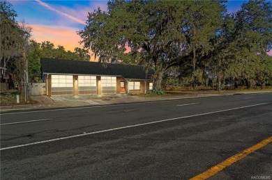 Lake Henderson Commercial For Sale in Inverness Florida