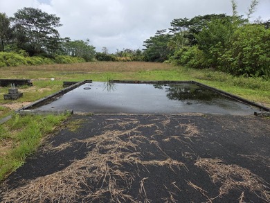 Here's your chance to own an improved acre on pavement in - photo 1