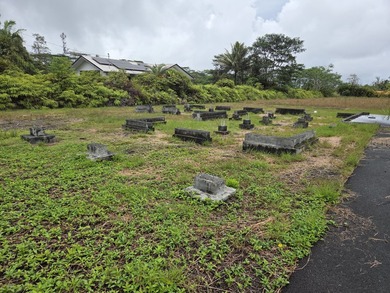 Here's your chance to own an improved acre on pavement in - photo 4