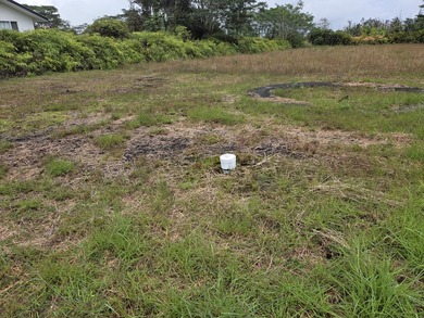 Here's your chance to own an improved acre on pavement in - photo 8
