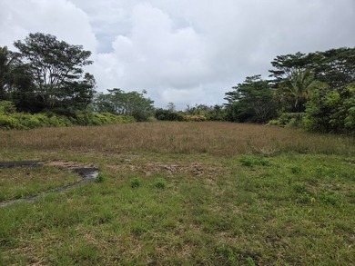 Here's your chance to own an improved acre on pavement in - photo 9