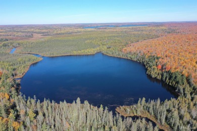 (private lake, pond, creek) Acreage For Sale in Iron River Michigan