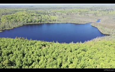 Once in a lifetime opportunity to own a sprawling 728 Acres - photo 3