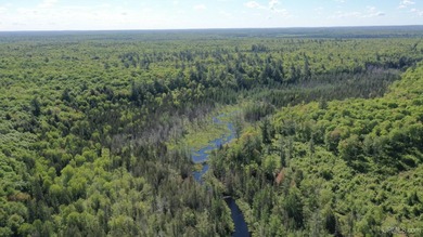 Once in a lifetime opportunity to own a sprawling 728 Acres - photo 6