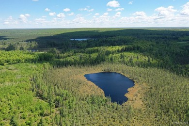 Once in a lifetime opportunity to own a sprawling 728 Acres - photo 7