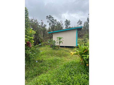 Turnkey off-grid homestead is ready for you to move in - photo 8