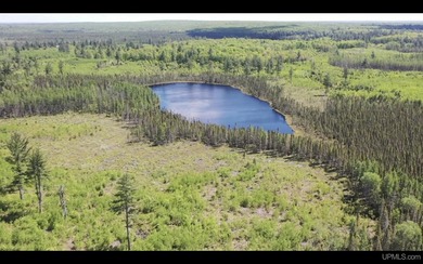 Once in a lifetime opportunity to own a sprawling 728 Acres - photo 8
