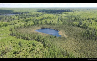 Once in a lifetime opportunity to own a sprawling 728 Acres - photo 10