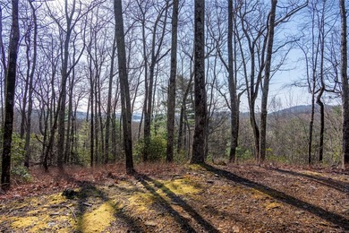 *Kalmia Knoll* perched above Lake Toxaway, is an exceptional - photo 11