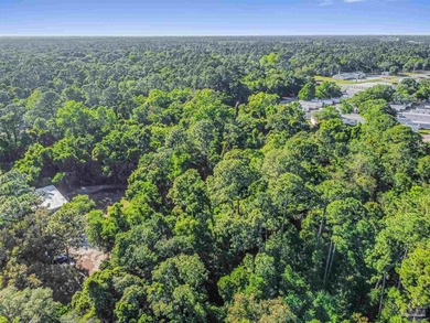 A rare opportunity to acquire 9 contiguous lots totaling - photo 11