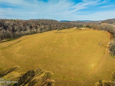 RIVERFRONT RARITY ACREAGE! OFFERING 49 ACRES & OVER 4,300 FEET - photo 14
