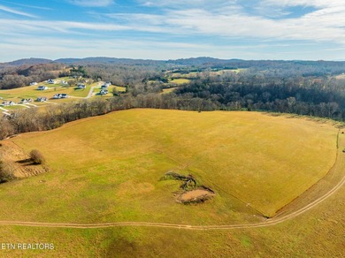 RIVERFRONT RARITY ACREAGE! OFFERING 49 ACRES & OVER 4,300 FEET - photo 16