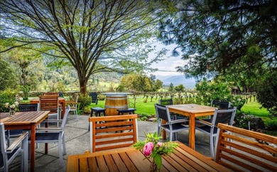 Vineyard, Winery, Creamery, Charcuterie and Vacation Rentals in - photo 30