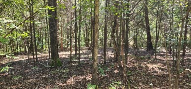 Kentucky Lake Lot For Sale in Big Sandy Tennessee