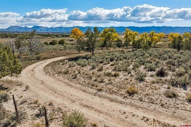 Kyle Roberts, Wells Group Real Estate, C:,,: An extraordinary - photo 7