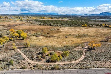 Kyle Roberts, Wells Group Real Estate, C:,,: An extraordinary - photo 8