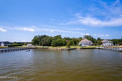 Welcome to Albemarle Shores in the sought-after Drummonds Point - photo 10