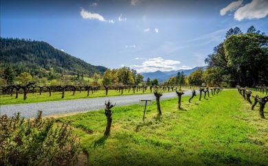 Vineyard, Winery, Creamery, Charcuterie and Vacation Rentals in - photo 41