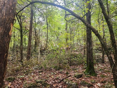 Highway frontage land with incredible possibilities. No