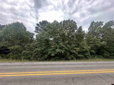 Lake Lot For Sale in Lakeview, Arkansas