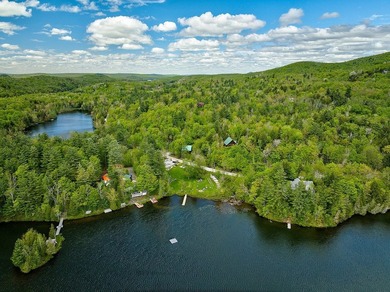 Residence contemporaine situee dans le quartier recherche du lac - photo 6