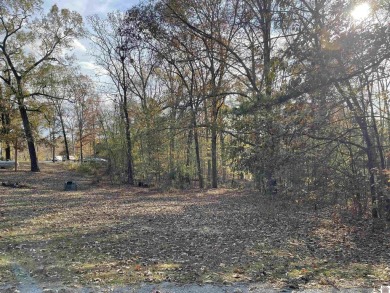  Lot For Sale in Murray Kentucky