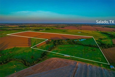 (private lake, pond, creek) Acreage For Sale in Holland Texas