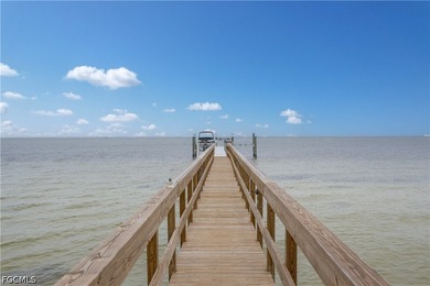 Experience the very best of Pine Island waterfront living in - photo 8