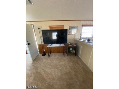 What an opportunity! Own your land, $140 yearly maintenance fee! - photo 7