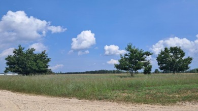 Mullett Lake Lot For Sale in Cheboygan Michigan