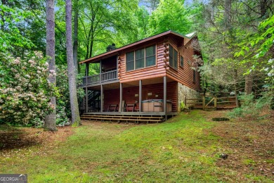 Lake Home For Sale in Ellijay, Georgia