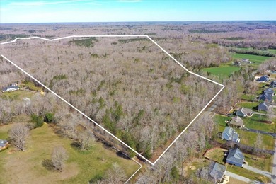 (private lake, pond, coastal) Acreage For Sale in New Kent Virginia