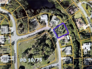 Northport Waterway Lakes and Canals Lot For Sale in North Port Florida