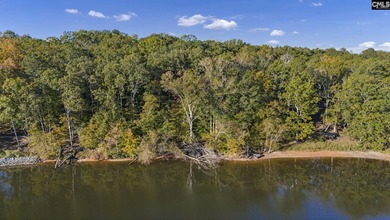 +/-1.22-acre waterfront property on Lake Murray in Leesville - photo 4