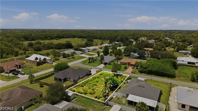 Build your Southwest Florida vision on this approximately 0 - photo 3