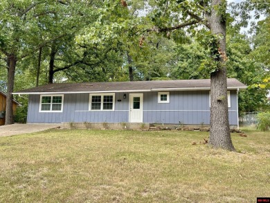 Bull Shoals Lake Home For Sale in Bull Shoals Arkansas