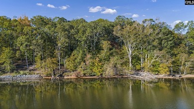 +/-1.2-acre waterfront property on Lake Murray in Leesville - photo 4