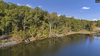 +/-1.2-acre waterfront property on Lake Murray in Leesville - photo 5