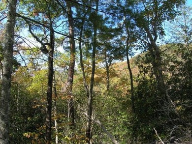 Fontana Lake Lot Sale Pending in Bryson City North Carolina