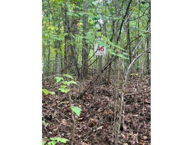 Kentucky Lake Lot For Sale in Springville Tennessee