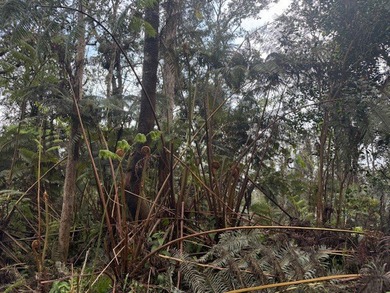 Beautifully lush property offered for purchase in Kaloko. This - photo 3