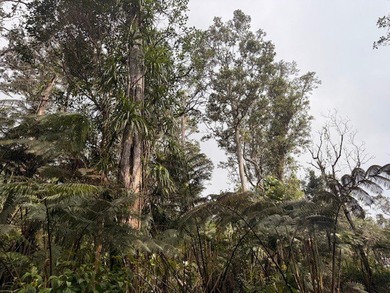 Beautifully lush property offered for purchase in Kaloko. This - photo 5