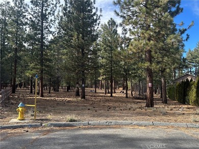 Lake Lot For Sale in Big Bear City, California