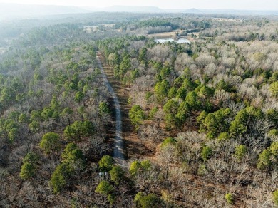 Beautiful wooded lot in the desirable Primrose Creek - photo 7