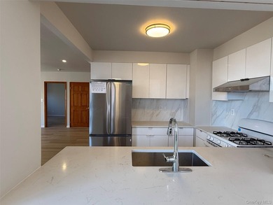 Welcome to this stunning newly renovated penthouse residence in - photo 8