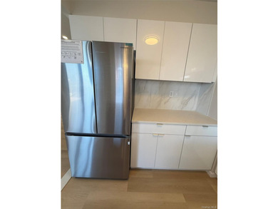 Welcome to this stunning newly renovated penthouse residence in - photo 10