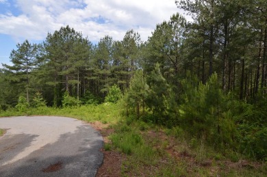 Lake Nottely Acreage For Sale in Blairsville Georgia