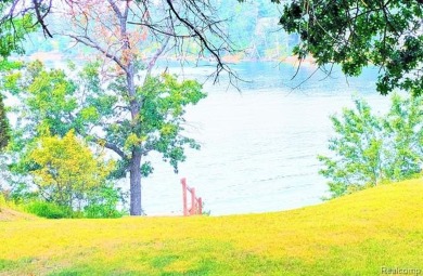 Lake Home For Sale in Johannesburg, Michigan
