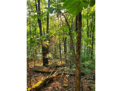 Lake Lot For Sale in Fairfield Bay, Arkansas
