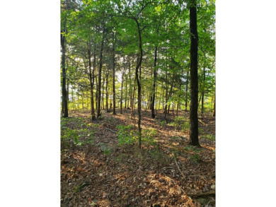 Lake Lot For Sale in Fairfield Bay, Arkansas